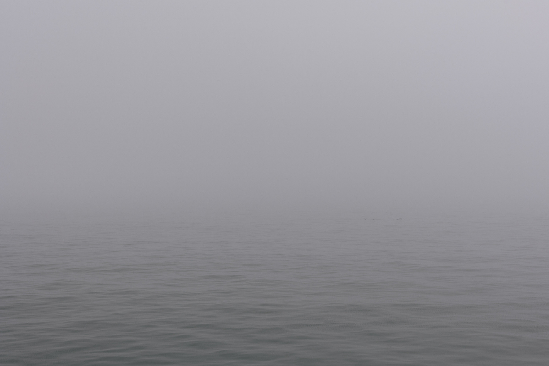 Day Trip to Nantucket | Shannon C Broderick 

Foggy Atlantic ocean views taking the Hy-Line ferry to the island of Nantucket. 