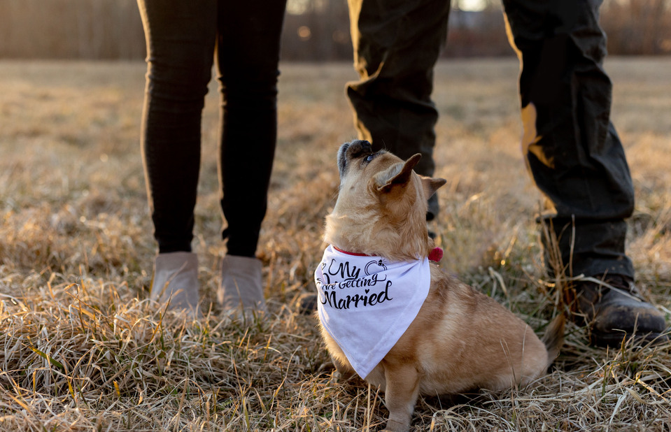 Engagement Photos at Chorney Property, North Attleboro, Massachusetts