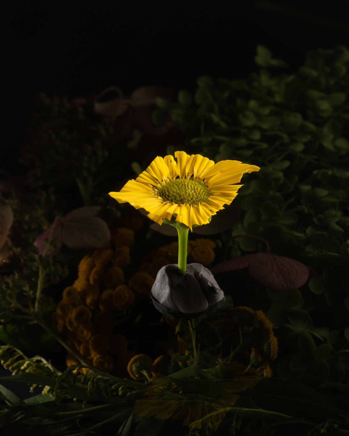 Fleur jaune coupée en carré tenant sur un boule de pâte à modeler.