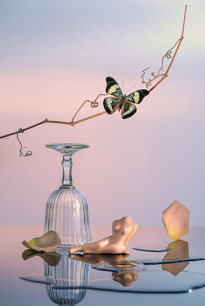 Verre, papillon, branche, pétales et vase en forme de corps de femme sur une surface réfléchissante, devant un fond rappelant un coucher de soleil.