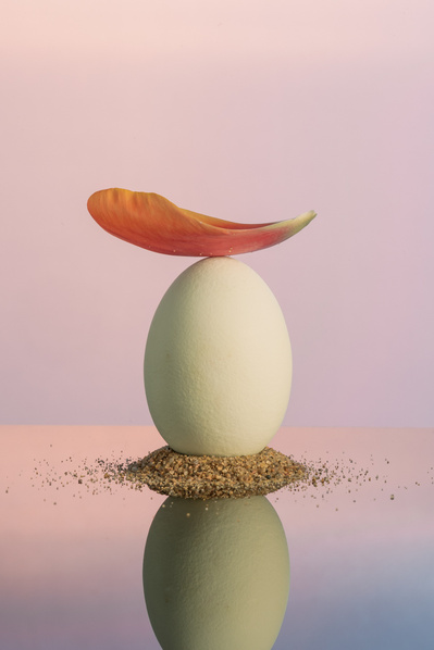 Pétale orange posé sur un oeuf qui lui est posé sur un monticule de sable, avec son reflet, sur fond rappelant un coucher de soleil.