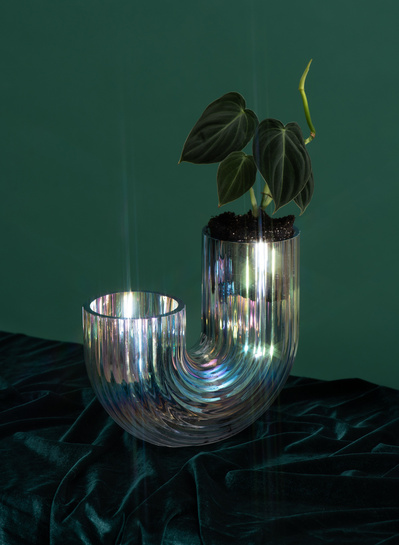 Plante aux feuilles veloutées dans un vase en forme de u sur un fond vert.