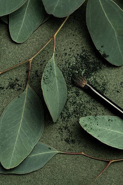 Pinceau et ombre à paupières parmi des feuilles d'eucalyptus sur fond vert.