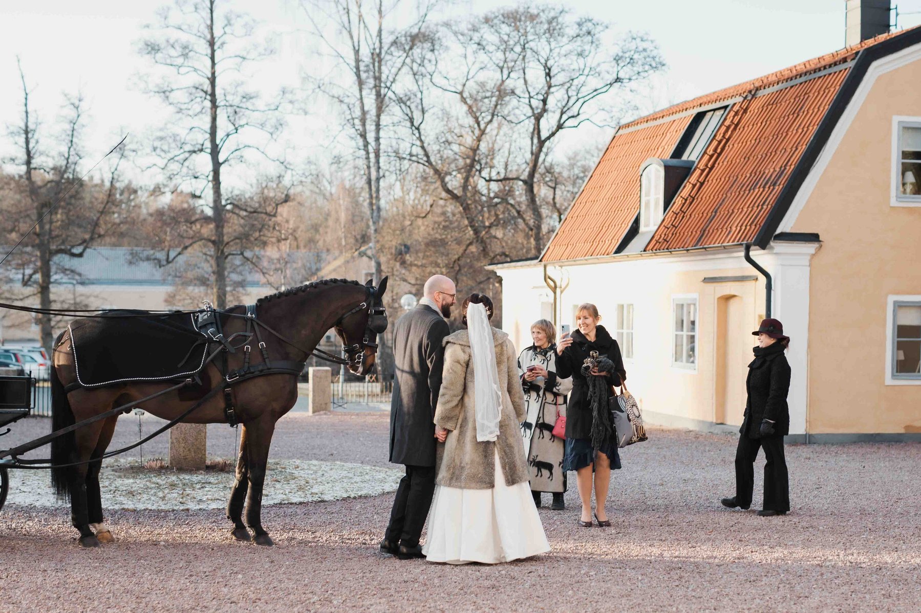 Brudpar fotograferas av gäster med mobilen bredvid en brun häst. I bakgrunden  gult huss med rött tak och träden på gården.