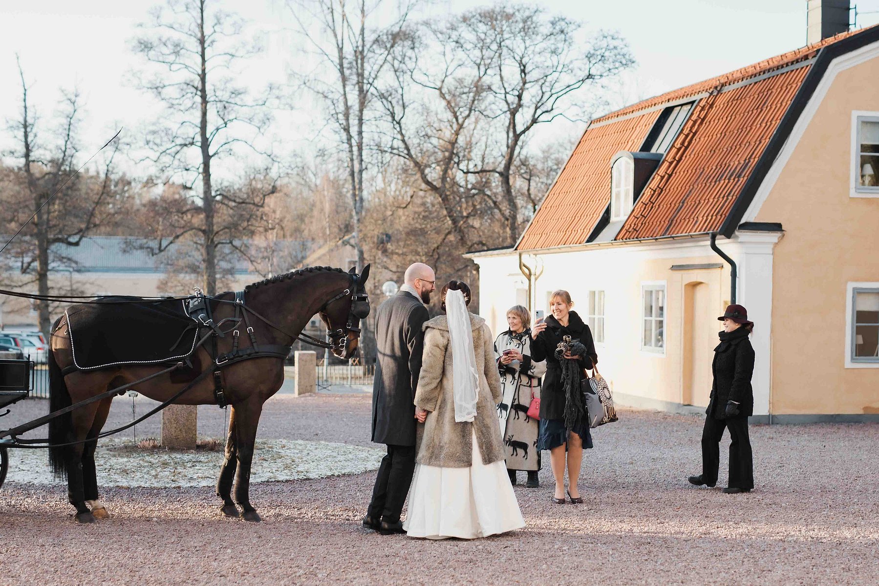 Brudpar fotograferas av gäster med mobilen bredvid en brun häst. I bakgrunden  gult huss med rött tak och träden på gården.