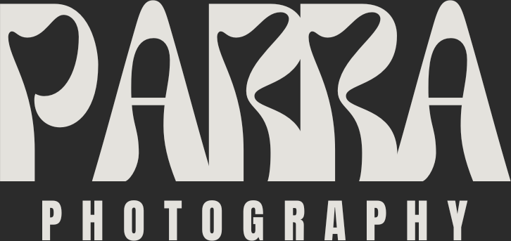 Angelina Parra's Portfolio