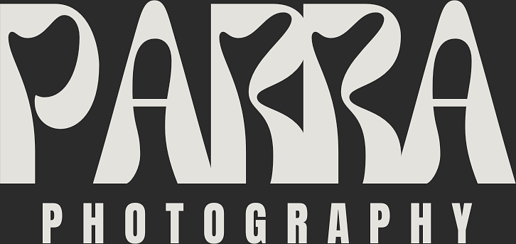 Angelina Parra's Portfolio