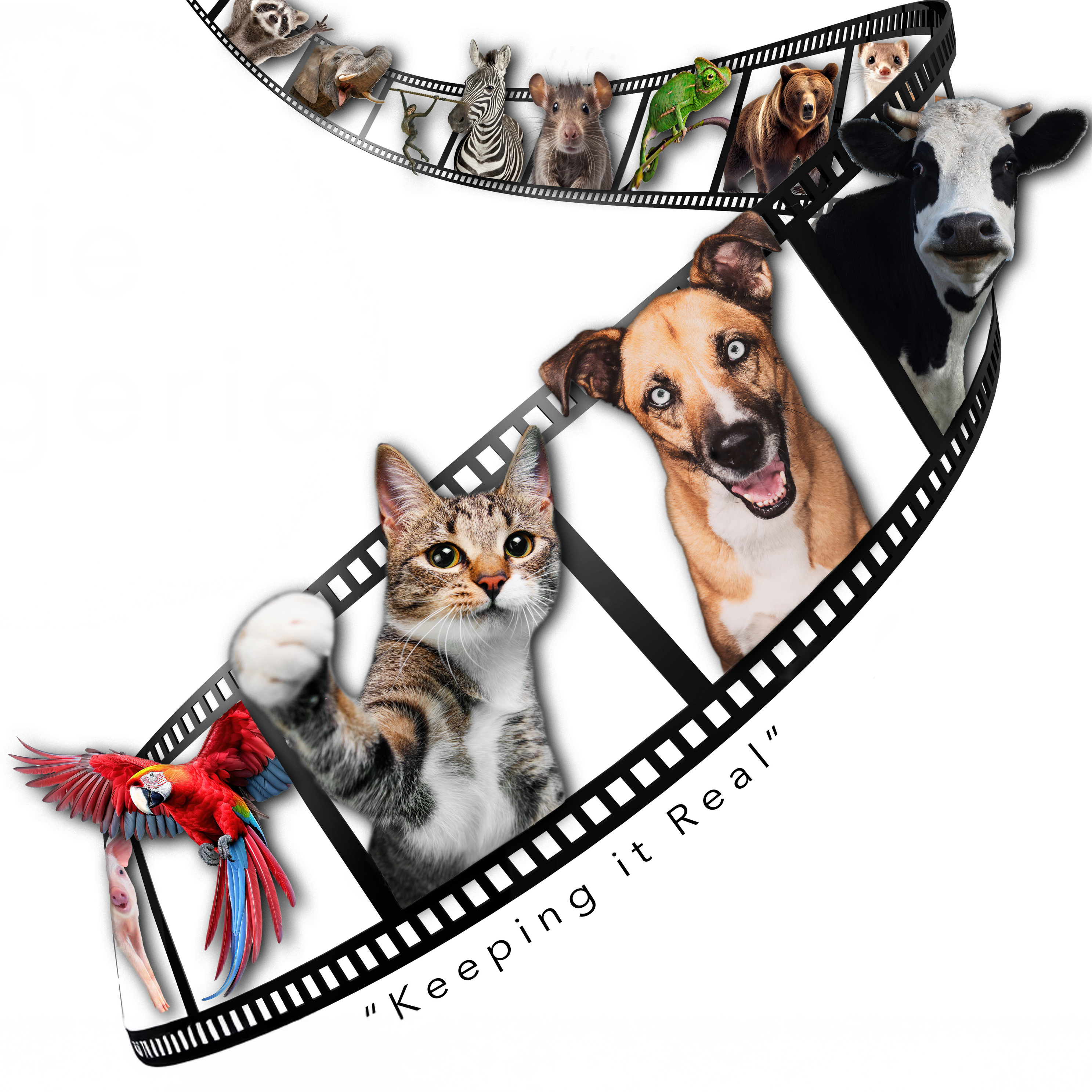 Guin's Movie Menagerie