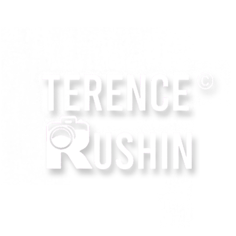 Terence Rushin - Live Concert Music Festival Photographer