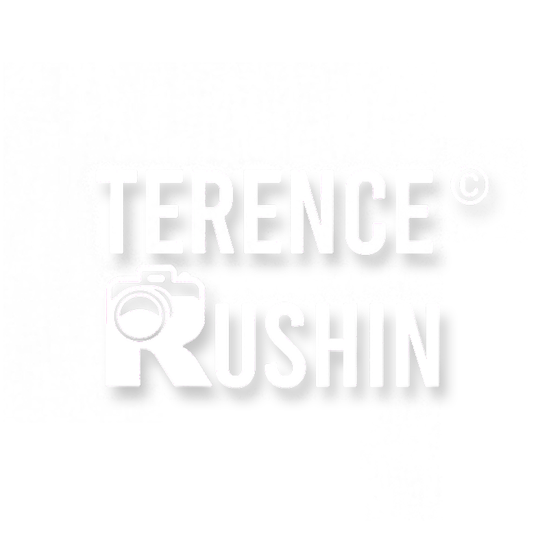 Terence Rushin - Live Concert Music Festival Photographer