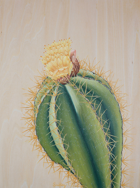 Emily Suñez - Hope Blooms During Quarantine