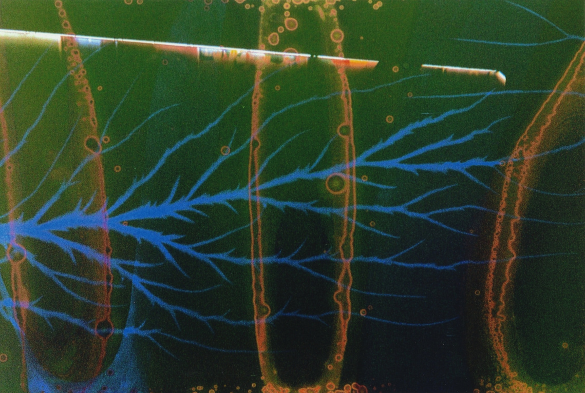 Juliana Gagné
Film Photography