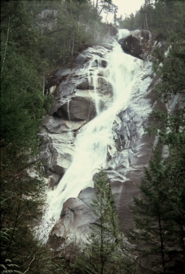 Ella Meyer
Film Photography
