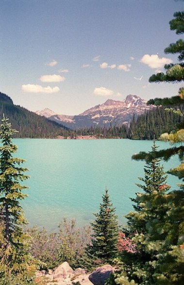 Ella Meyer
Film Photography