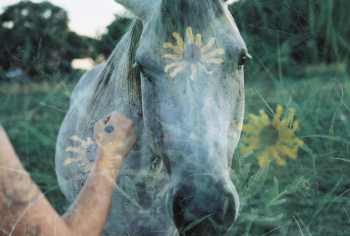Destry Rose
Flower Wisdom
film photography
The Purposeful Mayo - The Bagel Hole weekly feature