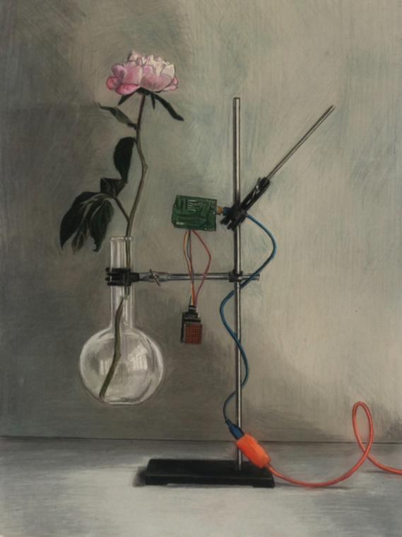  Mathieu V. Staelen
Audits of Destruction, Elektroshock therapy to extract the symbolism from the rose
