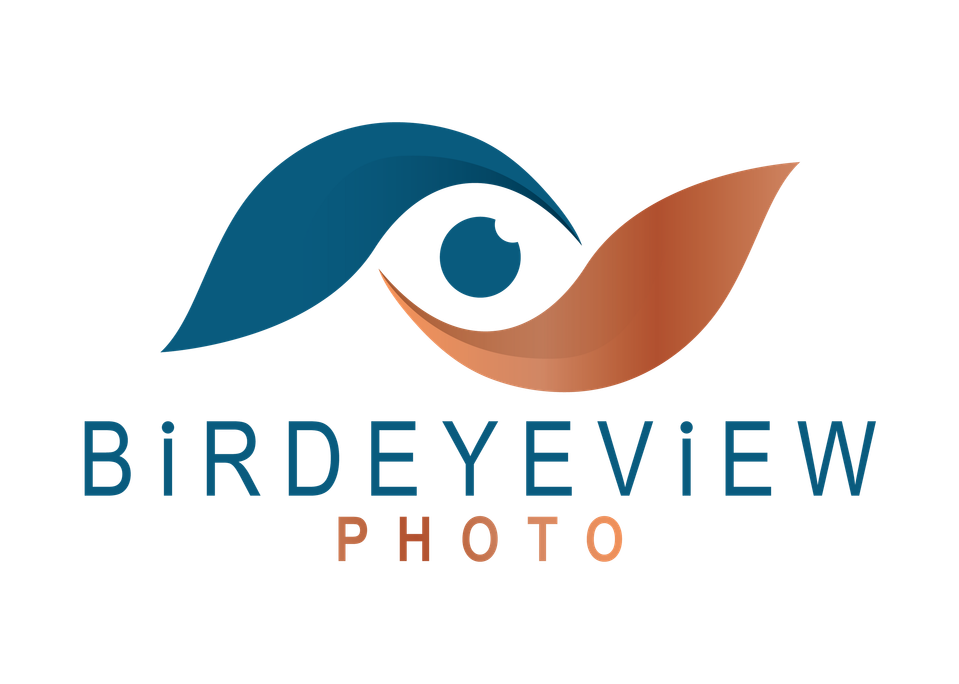 BIRDEYEVIEW PHOTO - WEDDING STUDIO