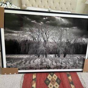 High-quality framed fine art photography prints in Hamilton & GTA—museum-grade printing & archival framing for collectors & artists. Custom professional prints for sale. #FineArtPhotography #PhotographyPrints #GuelphArt