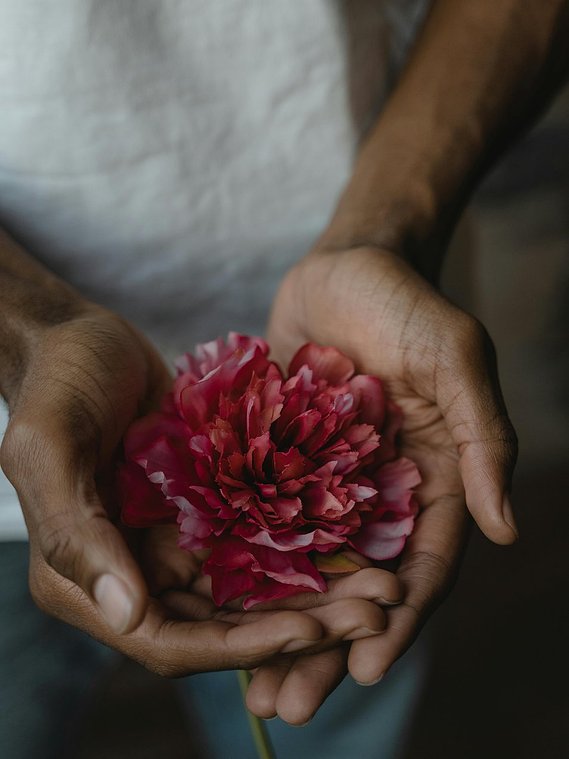 Plan serré sur les mains jointes et ouvertes d'une femme de type indienne dans la paume desquelles est déposée une magnifique fleur pourpre de type Dahlia, exprimant la générosité et l'ouverture chaleureuse de la posture de Gestalt-thérapeute.