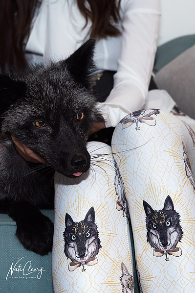 Top Scotland model poses for clothing line with a fox for best Glasgow fashion photographer at commercial photoshoot - Photography by Nate Cleary
