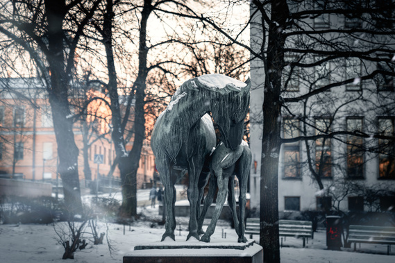 winter scene at family reunion event- Photography by Nate Cleary