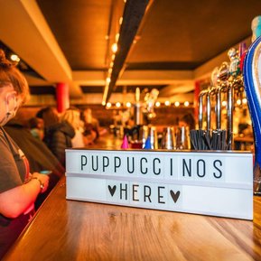 Pupup Cafe sign in Glasgow for dog event in Scotland- Photography by Nate Cleary
