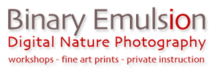 Binary Emulsion