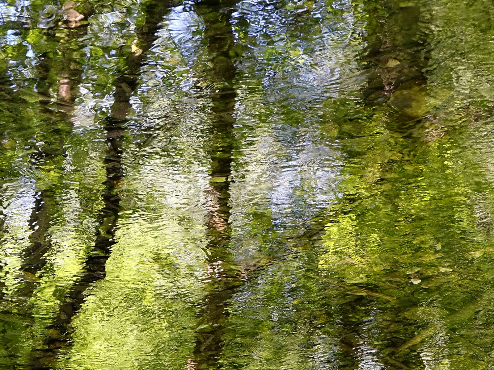 Reflets de rivière - Catherine Reznitchenko photography