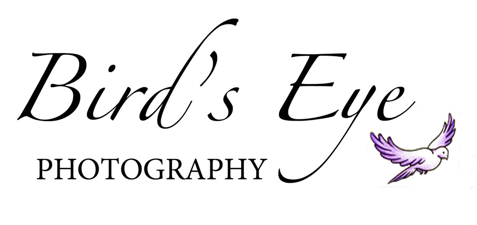 Bird's Eye Photography