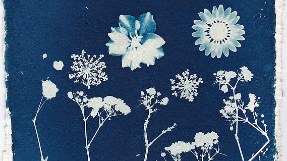 cyanotype printing classes