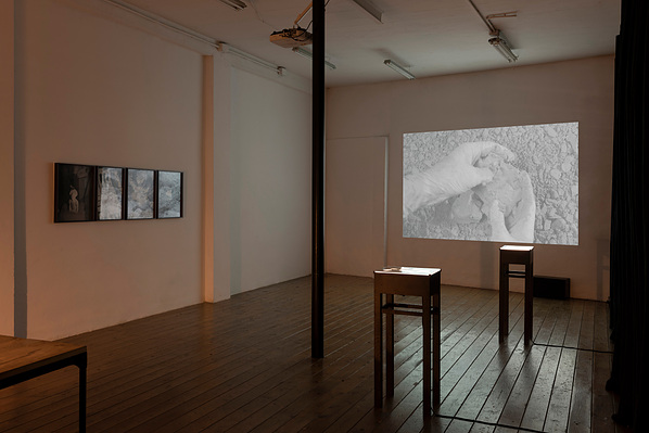 Italy. Torino. Mucho Mas! Artist-run space. 2022. "Diachronicles" By Giulia Parlato.