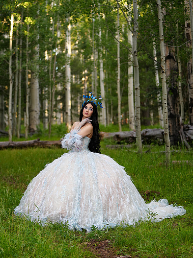 quinceañera princess photoshoot