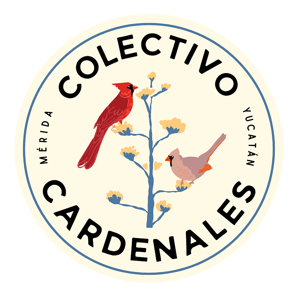 Premier Birding Tours in Yucatán, México