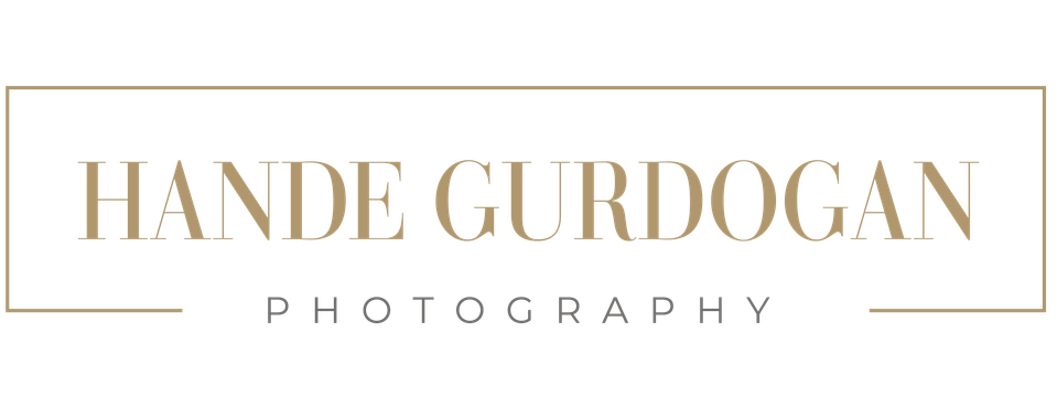 Hande Gurdogan's Portfolio