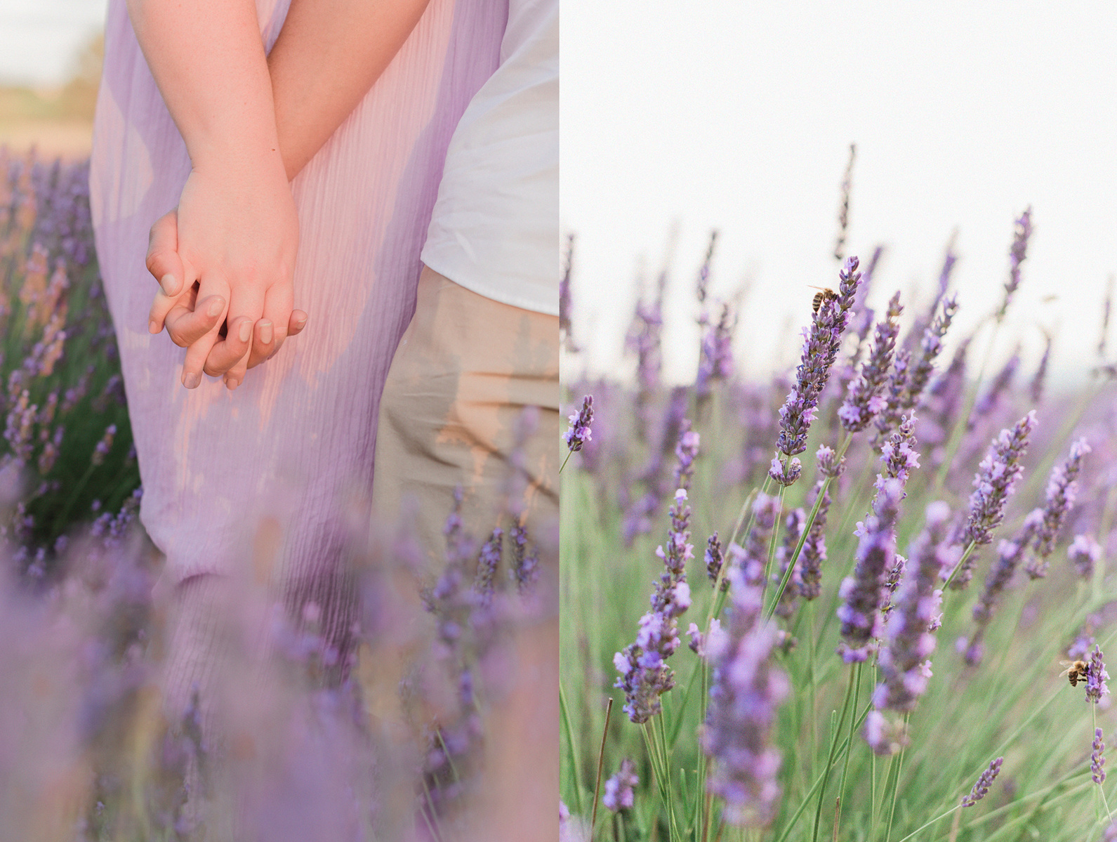 Provence Lavender photoshoot. South of France family photoshoot in the Lavender fields in Luberon. Valensole lavender photoshoot. 