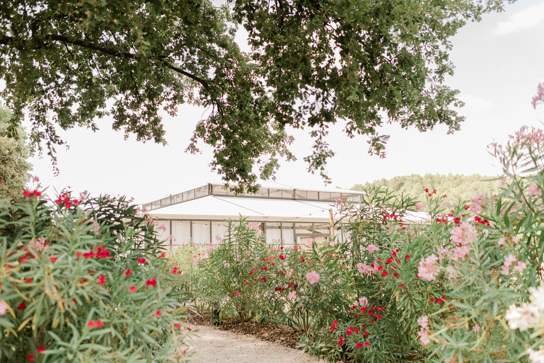 Beautiful wedding venue Chateau du Seuil in Aix en Provence, South of France. Wedding venue in the Provence. English speaking wedding photographer in Aix en Provence, Luberon and the South of France. 