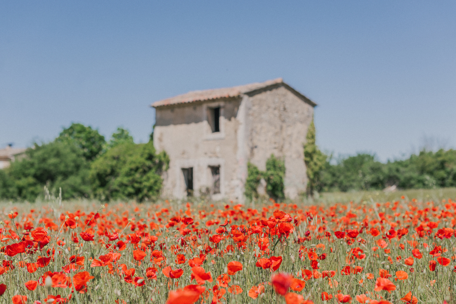 La Bastide de Marie, a luxury hotel nestled between Ménerbes and Bonnieux in the Luberon. Provence photoshoot. Provence wedding photographer. Luberon poppy field. 