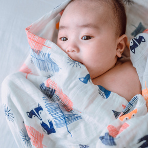 studio chụp ảnh gia đình