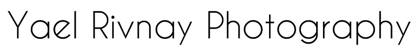 Yael's Portfolio
