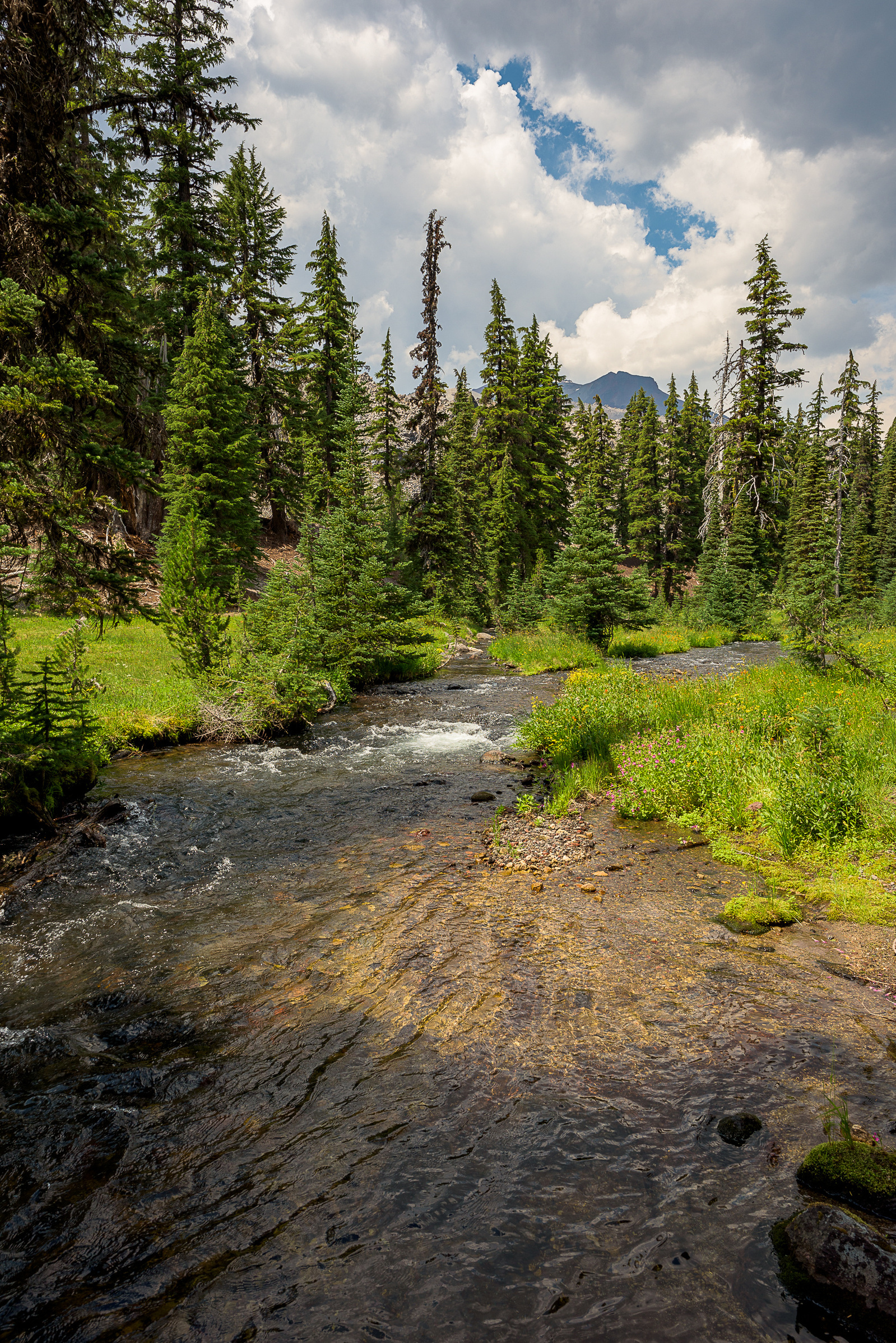 Fall Creek near Green Lakes.
