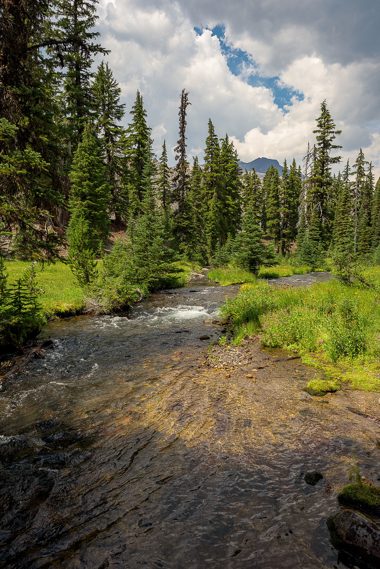 Fall Creek near Green Lakes.