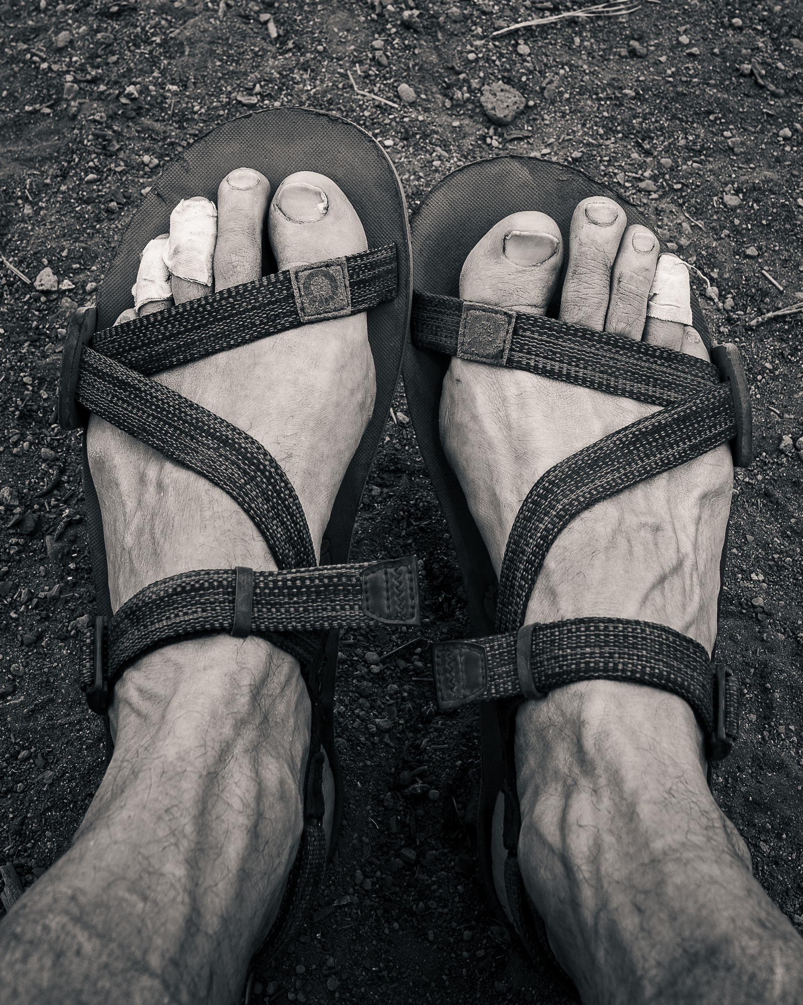Xero Shoes Z-Trail Sandals.