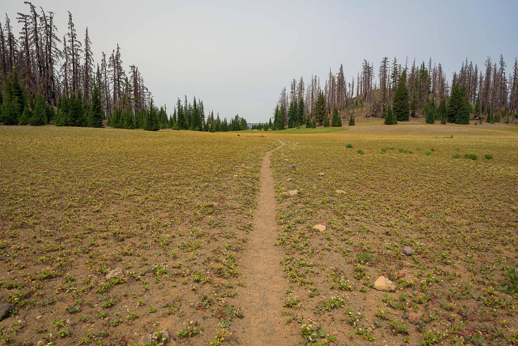 Linton Meadows Trail.
