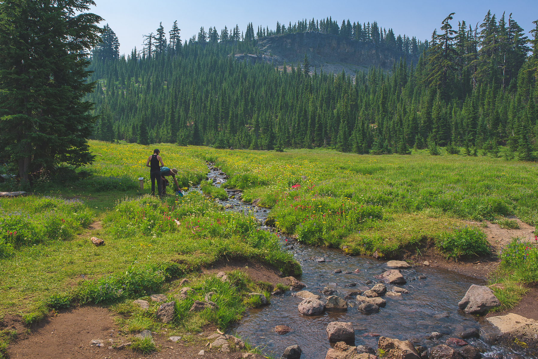 Glacier Creek in Three Sisters Wilderness.