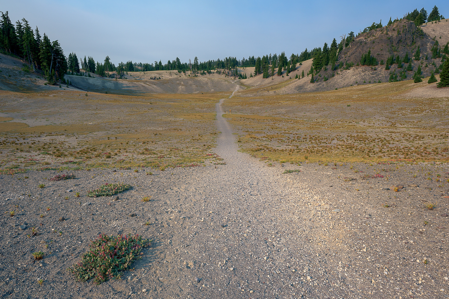 Near Moraine Lake.