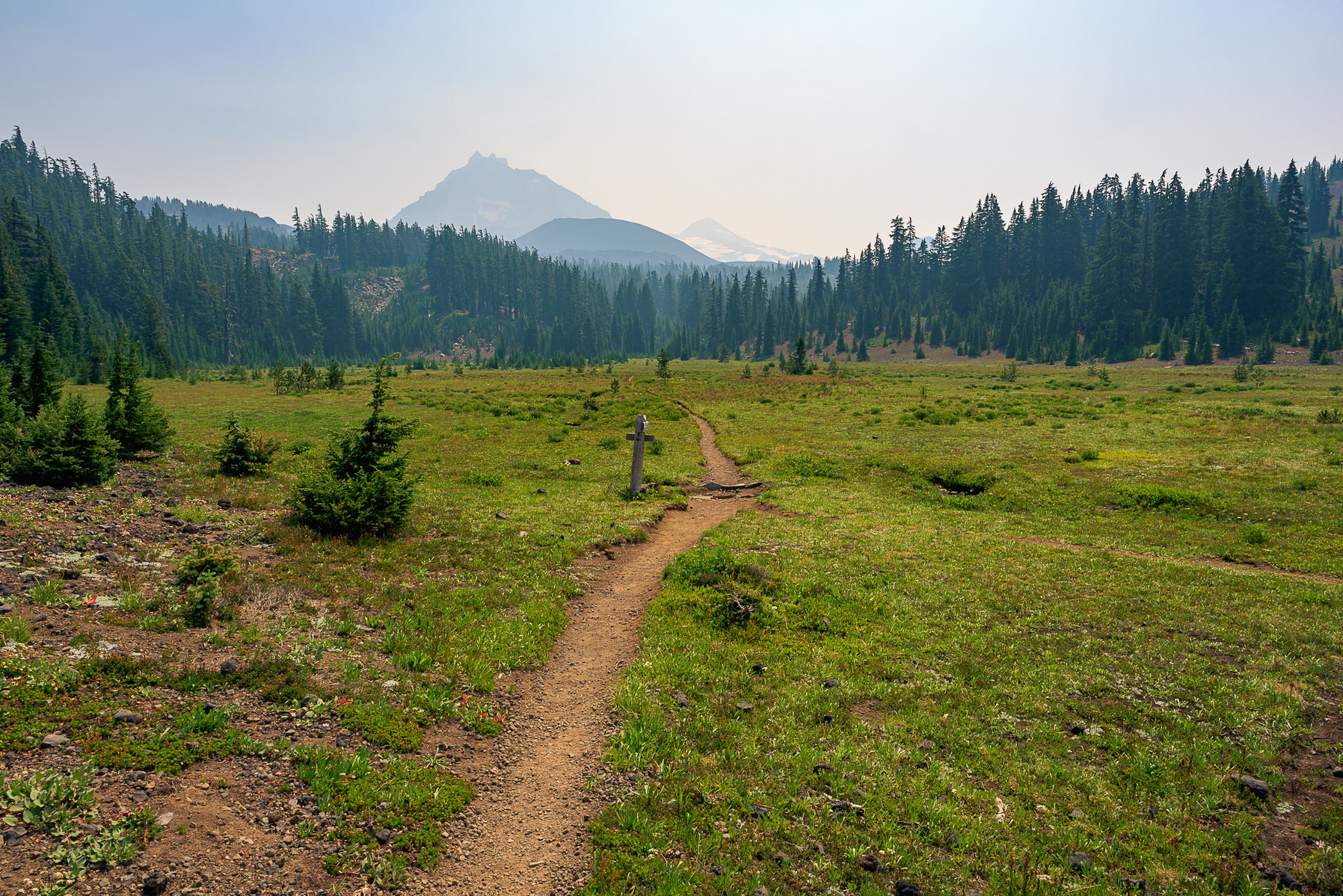 Three SIsters Wilderness Area.
