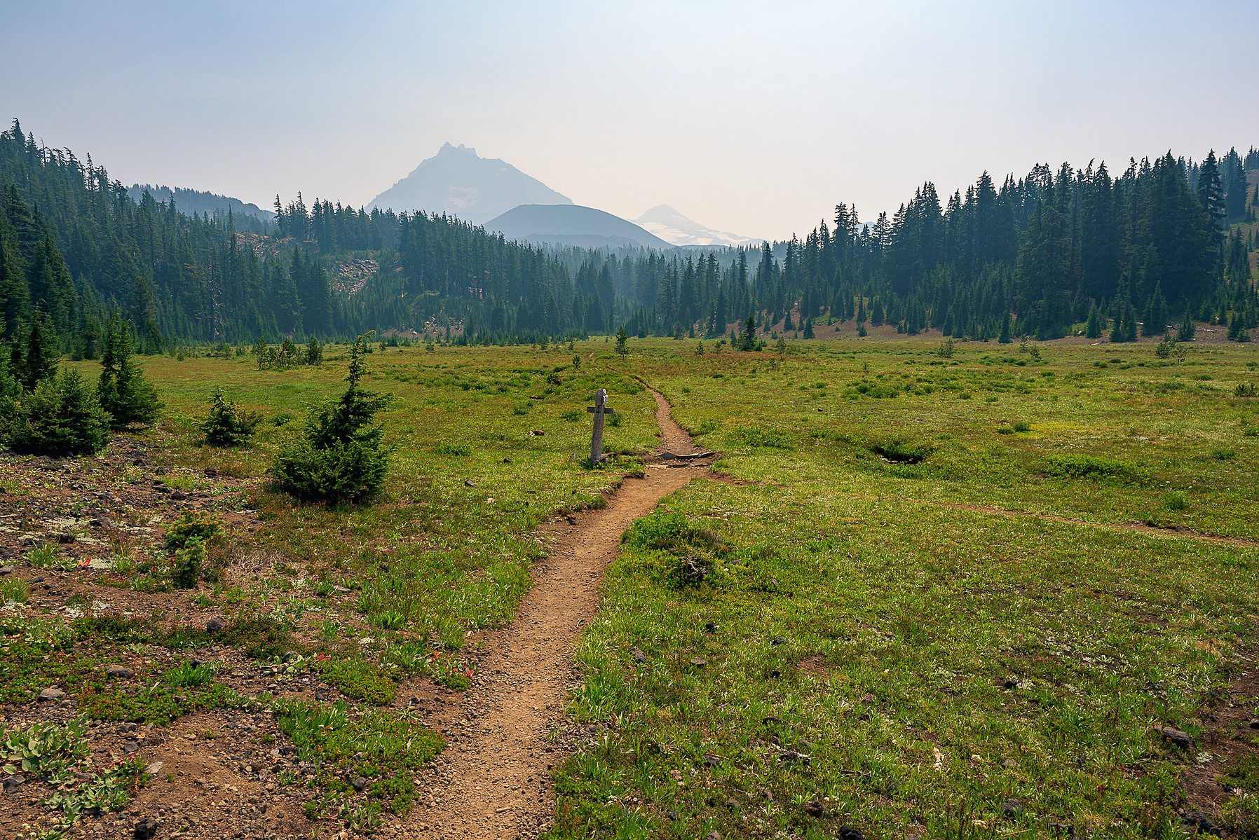 Three SIsters Wilderness Area.