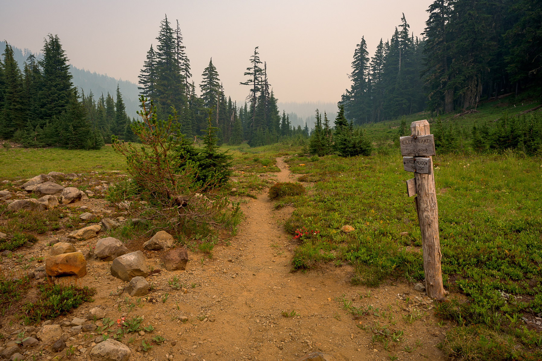 Linton Meadows.
