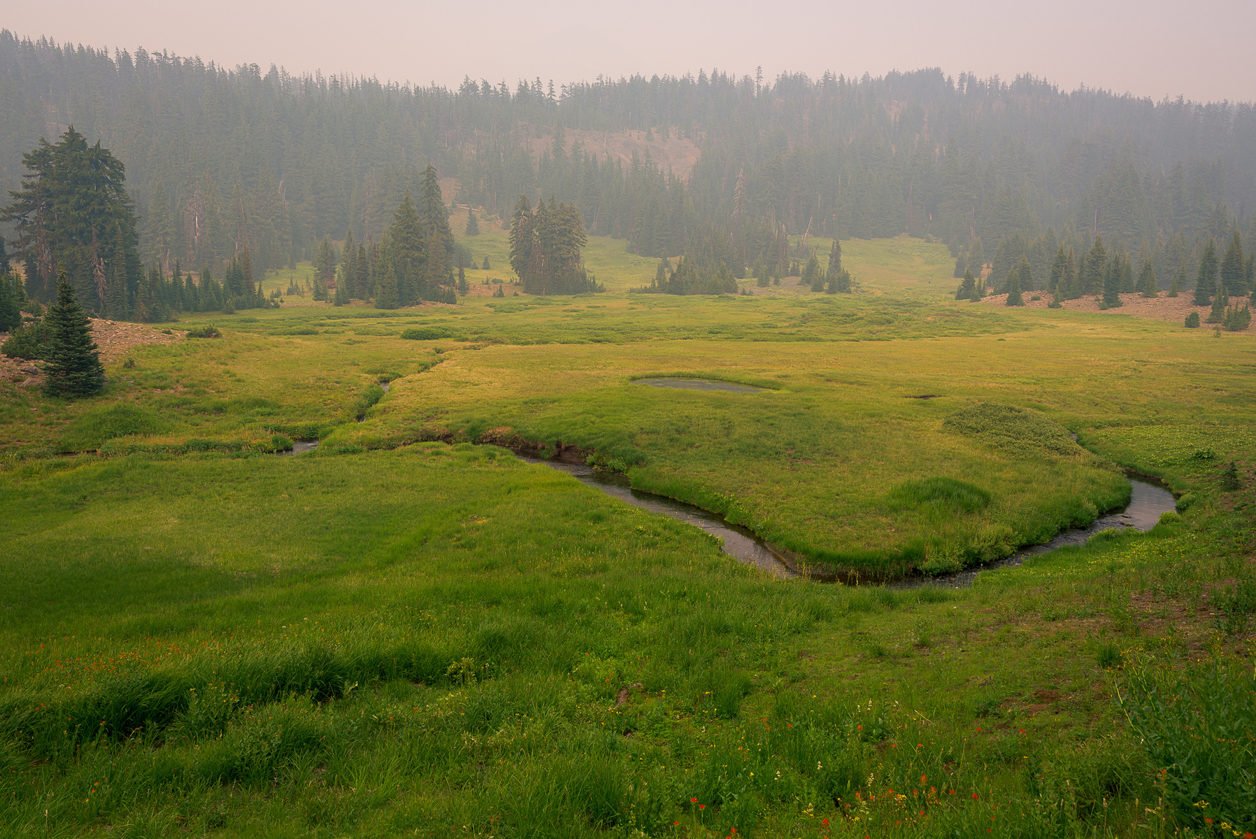 Linton Meadows.