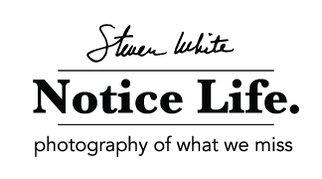 Notice Life. Photography of What We Miss